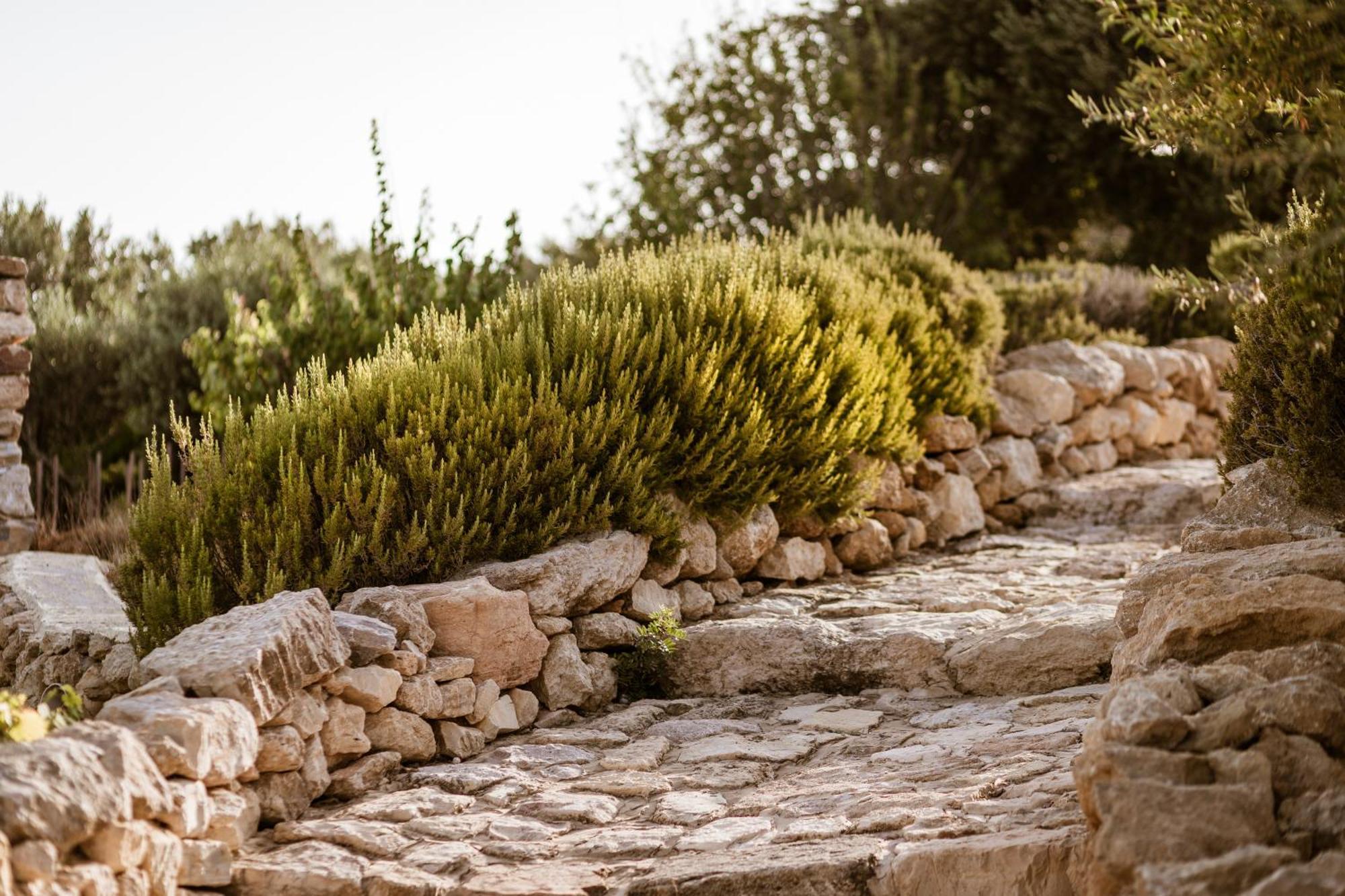 Villa Cemilion à Koufonisia Extérieur photo